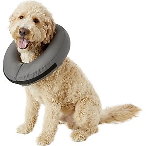 ZenPet ZenCollar Inflatable Recovery Dog & Cat Collar, X-Large