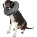 ZenPet ZenCollar Inflatable Recovery Dog & Cat Collar, XX-Large