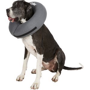 Zen pet hotsell zen cone