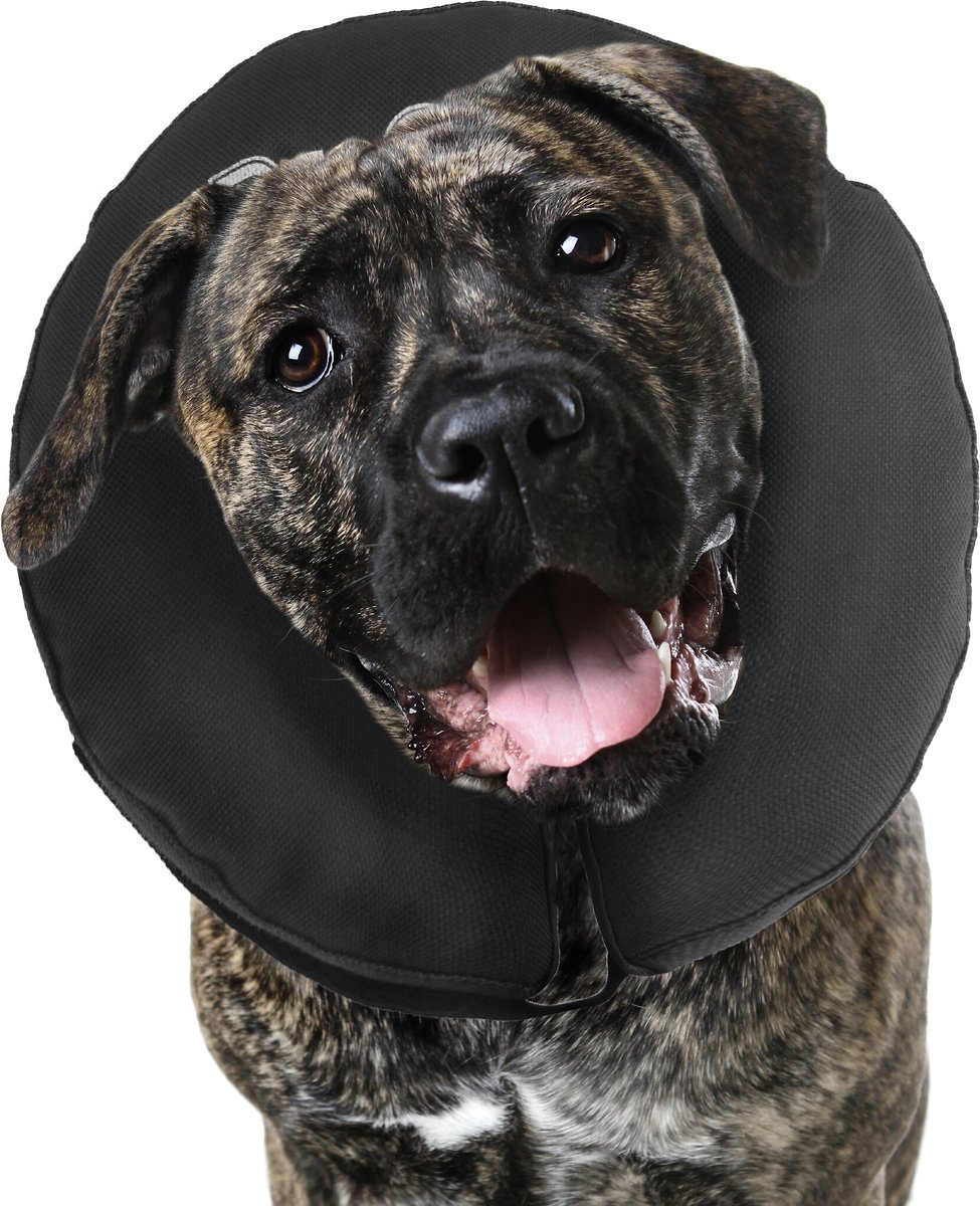 ZENPET ZenCollar Inflatable Recovery Dog Cat Collar XX Large