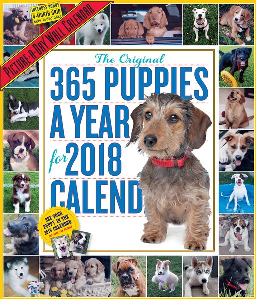 365 Puppies Wall 2018 Calendar slide 1 of 3
