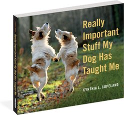 Really Important Stuff My Dog Has Taught Me