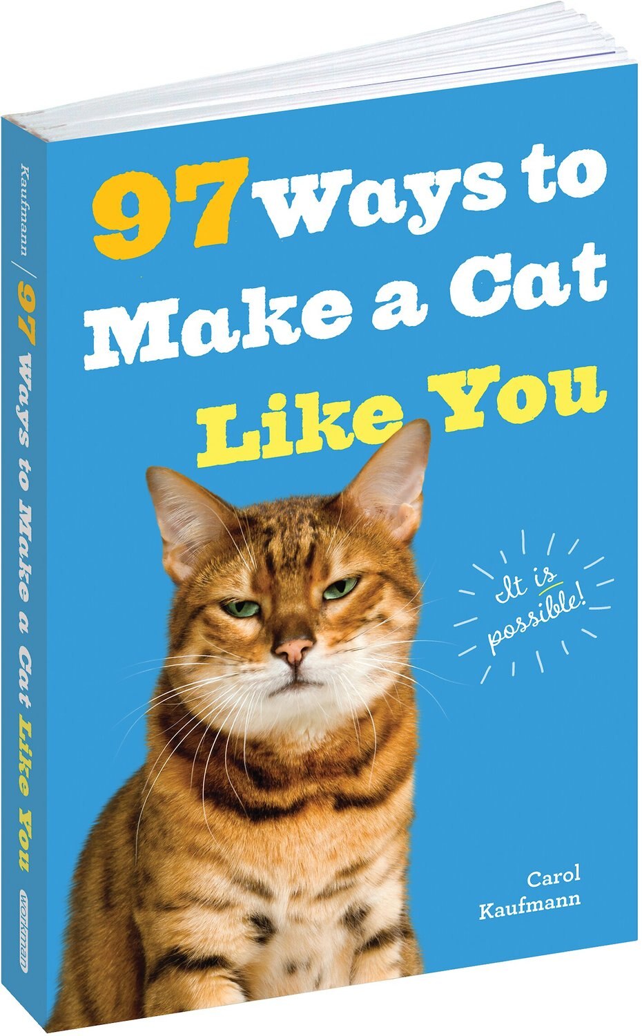 97 Ways to Make a Cat Like You
