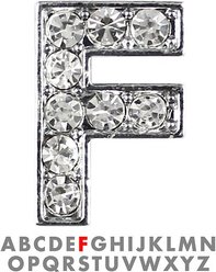 Parisian Pet 10mm Slider Rhinestone Letter Collar Charm, F