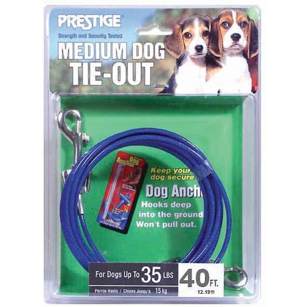 Free Shipping New Prestige 40ft Medium Dog Tie Out Boss Pet 