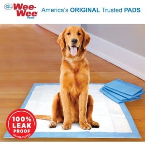Wee-Wee Pads Superior Performance with Runoff Edge Guard Dog Pee Pads, X-Large, 28 x 34-in, 6 count