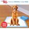 Show in main carousel: Wee-Wee Pads Superior Performance with Runoff Edge Guard Dog Pee Pads, X-Large, 28 x 34-in, 6 count slide 5 of 10