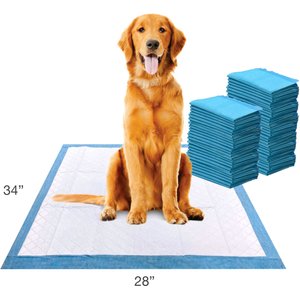 Wee-Wee Superior Performance Dog Pee Pads, X-Large, 28 x 34-in, 75 count