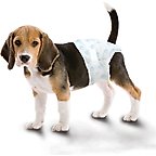 Four Paws Wee-Wee Disposable Dog Diapers. Medium, 12 count