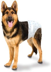 Four Paws Wee-Wee Disposable Dog Diapers, Large/X-Large, 12 count