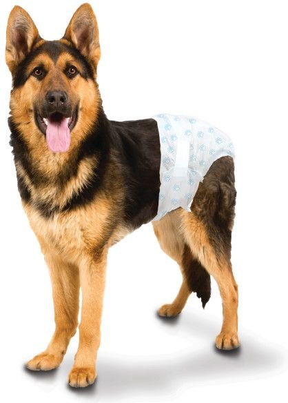 Four Paws Wee-wee Disposable Dog Diapers, Large X-large, 12 Count 