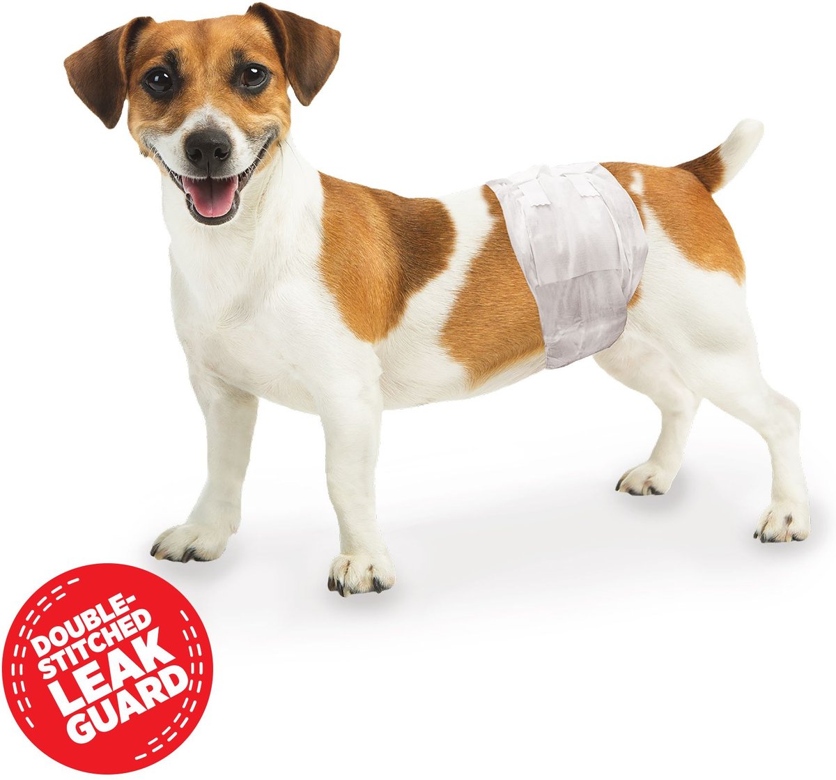   Basics Male Dog Wrap, Disposable Diapers, X-Small, Pack  of 30, White : Pet Supplies