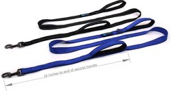 Max and Neo Dog Gear Nylon Reflective Double Dog Leash, Blue, 6-ft long, 1-in wide slide 2 of 8