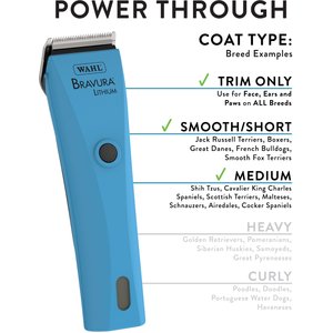 Wahl Bravura Lithium Ion Cordless Dog & Cat Clipper Kit, Turquoise