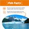 Show in main carousel: Zesty Paws Wild Alaskan Pollock+Salmon Oil Liquid Skin & Coat Supplement for Dogs & Cats, 8.5-oz bottle slide 5 of 11