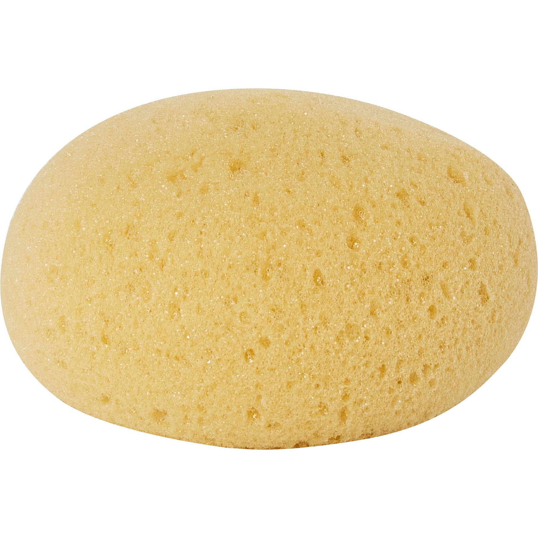 Decker Manufacturing Company Round Tack Horse Sponge