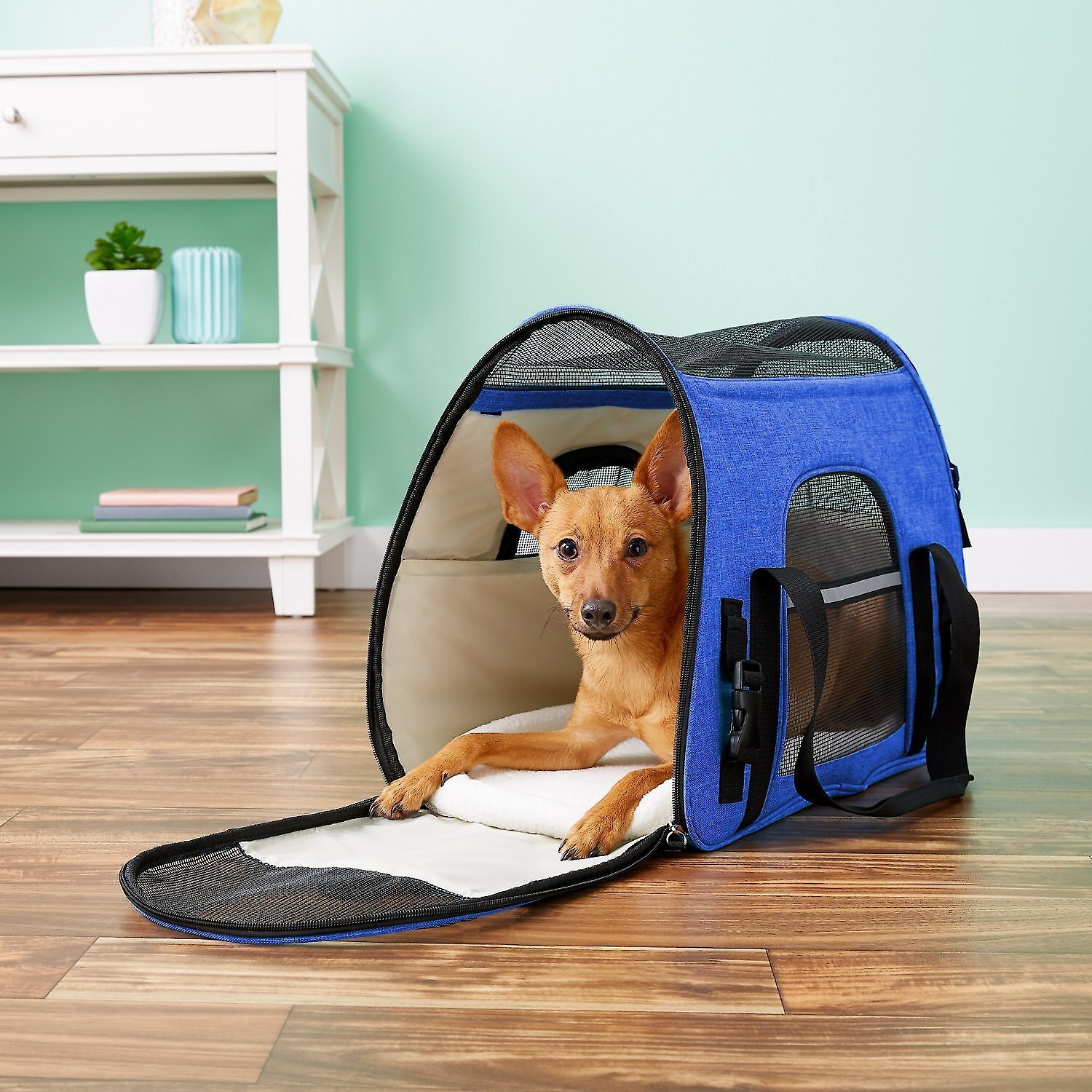 i-have-a-15-pound-dog-will-he-fit-with-a-little-extra-room-chewy