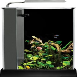 Fluval Spec Aquarium Kit, 2.6-gal slide 2 of 3