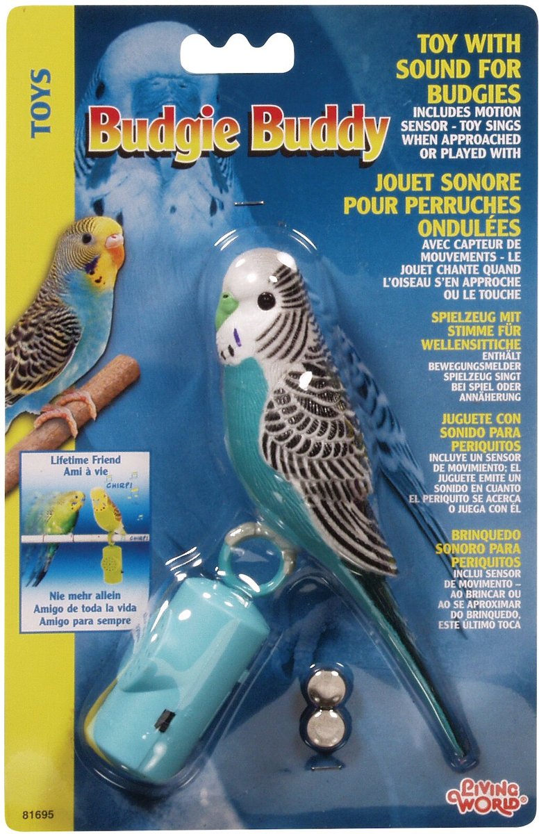 Plastic shop parakeet buddy