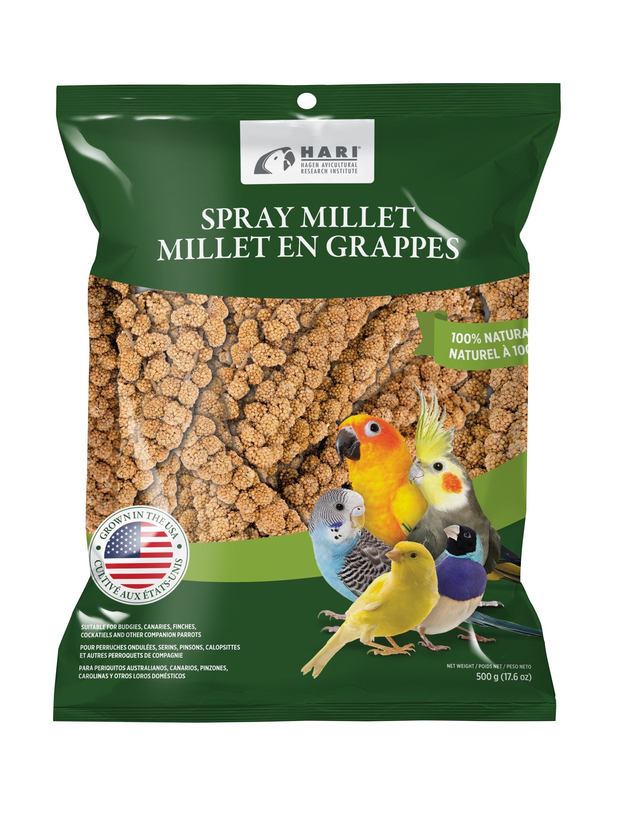 HARI Spray Millet 17 6 oz Bag Customer Questions Chewy chips-quotes-minimalist-quotes