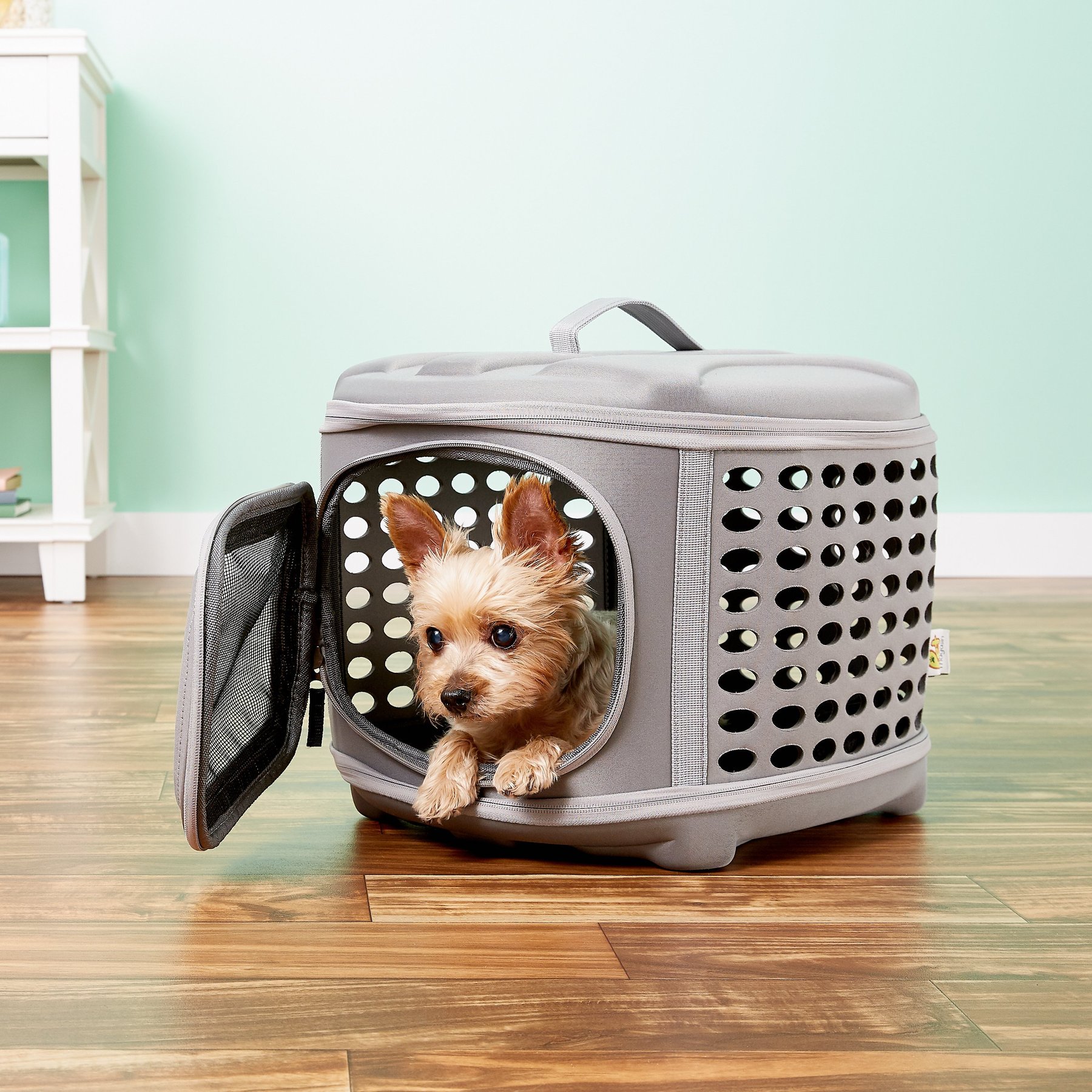  PET MAGASIN Hard Cover Collapsible Cat Carrier - Pet Travel  Kennel with Top-Load & Foldable Feature for Cats, Small Dogs Puppies &  Rabbits : Pet Supplies