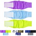 Pet Magasin Washable Belly Nappies Male Dog Wraps, Colorful, Small: 13 to 15-in waist, 3 count
