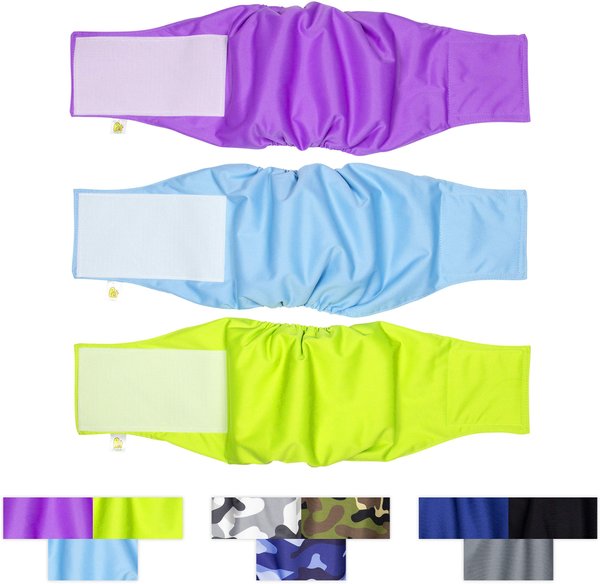 Pet Magasin Washable Belly Nappies Male Dog Wraps, Colorful, Medium: 15 to 21-in waist, 3 count slide 1 of 10