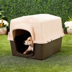 Dog Houses: Small to Large, Low Prices (Free Shipping) | Chewy