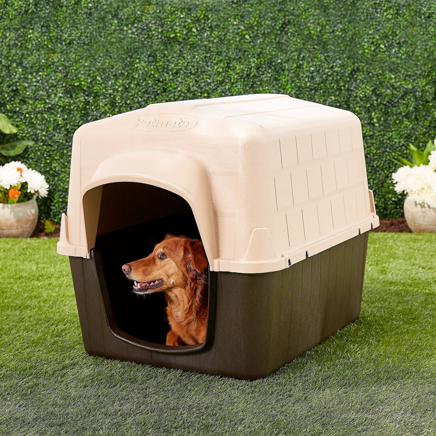 Aspen Pet Petbarn 3 Dog House