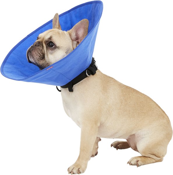 Alfie Pet Soft Recovery Dog & Cat Collar, Medium slide 1 of 10