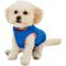 Show in main carousel: Gooby Sports Dog & Cat Vest, Blue, X-Small slide 3 of 11