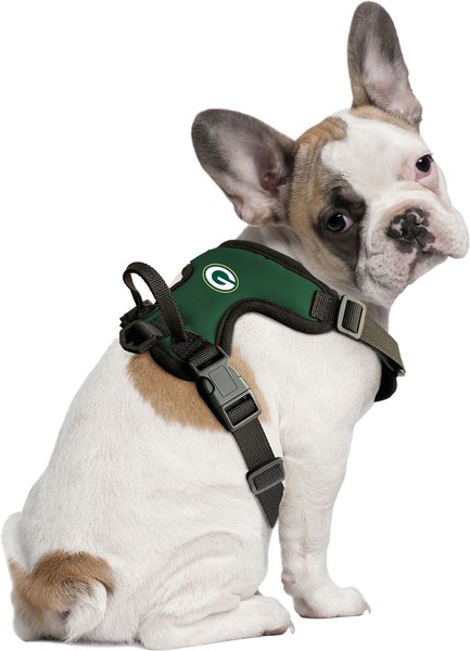 49ers dog harness best sale