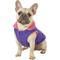 Show in main carousel: Gooby Sports Dog & Cat Vest, Purple, Large slide 3 of 11