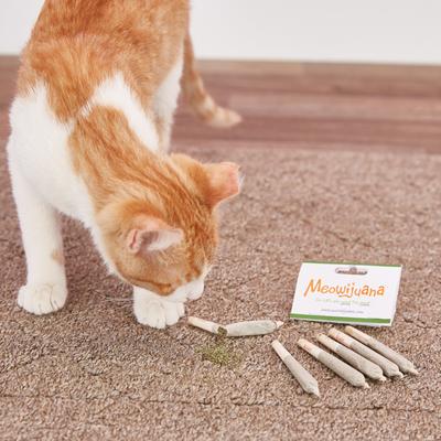 Show full view: Meowijuana Catnibas Meowy J's Rolled Catnip, Mini slide 4 of 6