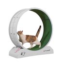 Coziwow 29-in Exercise Running Wheel Cat Treadmill, Gray/Green