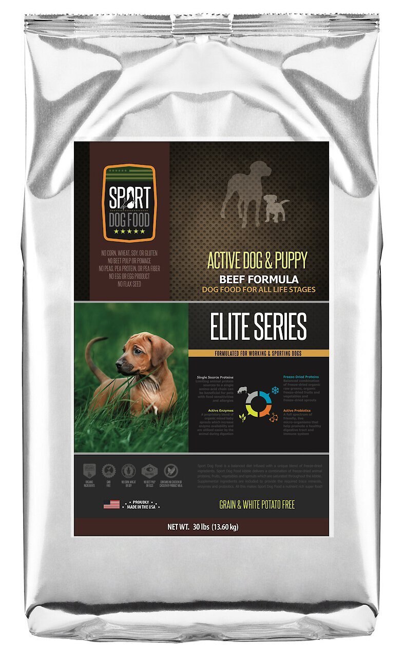 Chewy sport dog food best sale