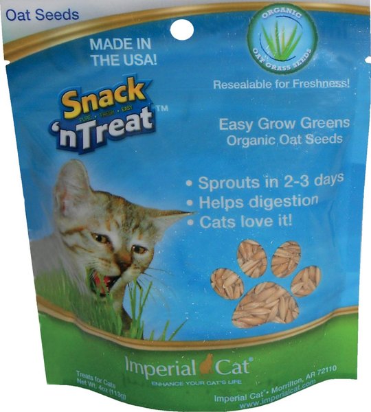 Imperial Cat Easy Grow Cat Oat Grass Seeds, 4-oz bag slide 1 of 2