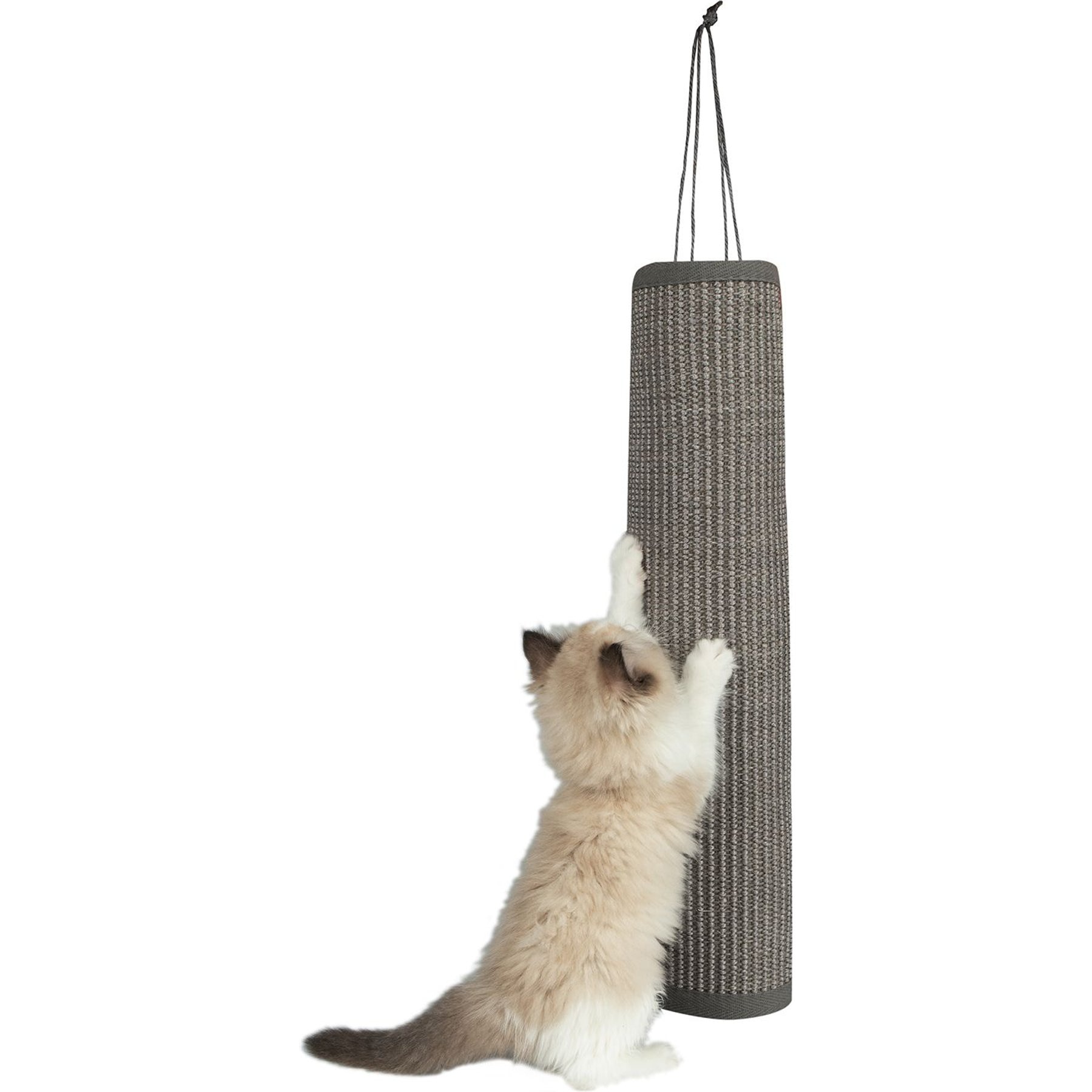 Best Pet Supplies Catify Hanging Log & Mat Cat Scratcher, Gray