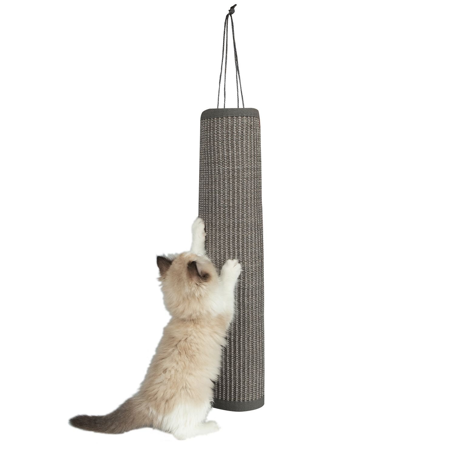 BEST PET SUPPLIES Catify Hanging Log & Mat Cat Scratcher reviews