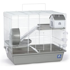 Gerbil cages for sale best sale