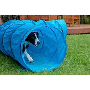 HDP Collapsible Agility Dog Training Tunnel, Blue