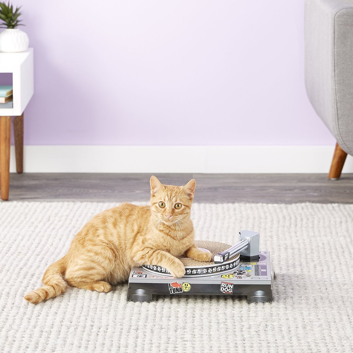 Suck UK Scratch Skateboard Cat Toy