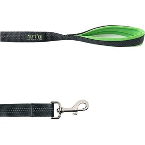 Mighty Paw HandleX2 Nylon Reflective Dog Leash, Grey & Green, 6-ft long, 1-in wide