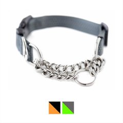 Mighty Paw Martingale Dog Training Collar