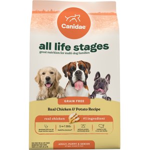 Nature's Recipe Grain-Free All Life Stages Chicken & Potato Recipe Dry Cat Food