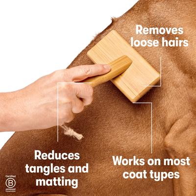Show full view: DOG By Dr Lisa Bamboo Dog Slicker Brush Grooming Tool, Large slide 5 of 6