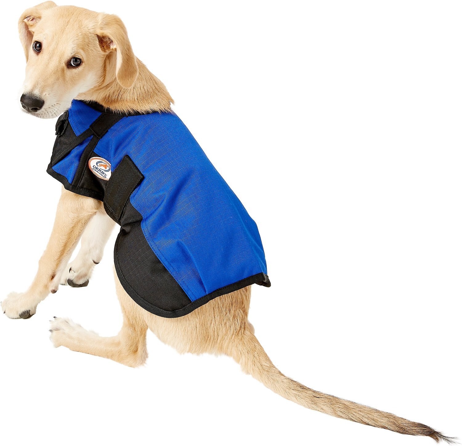 DERBY ORIGINALS 600D Waterproof Dog Blanket Coat, Royal Blue/Black, 13.