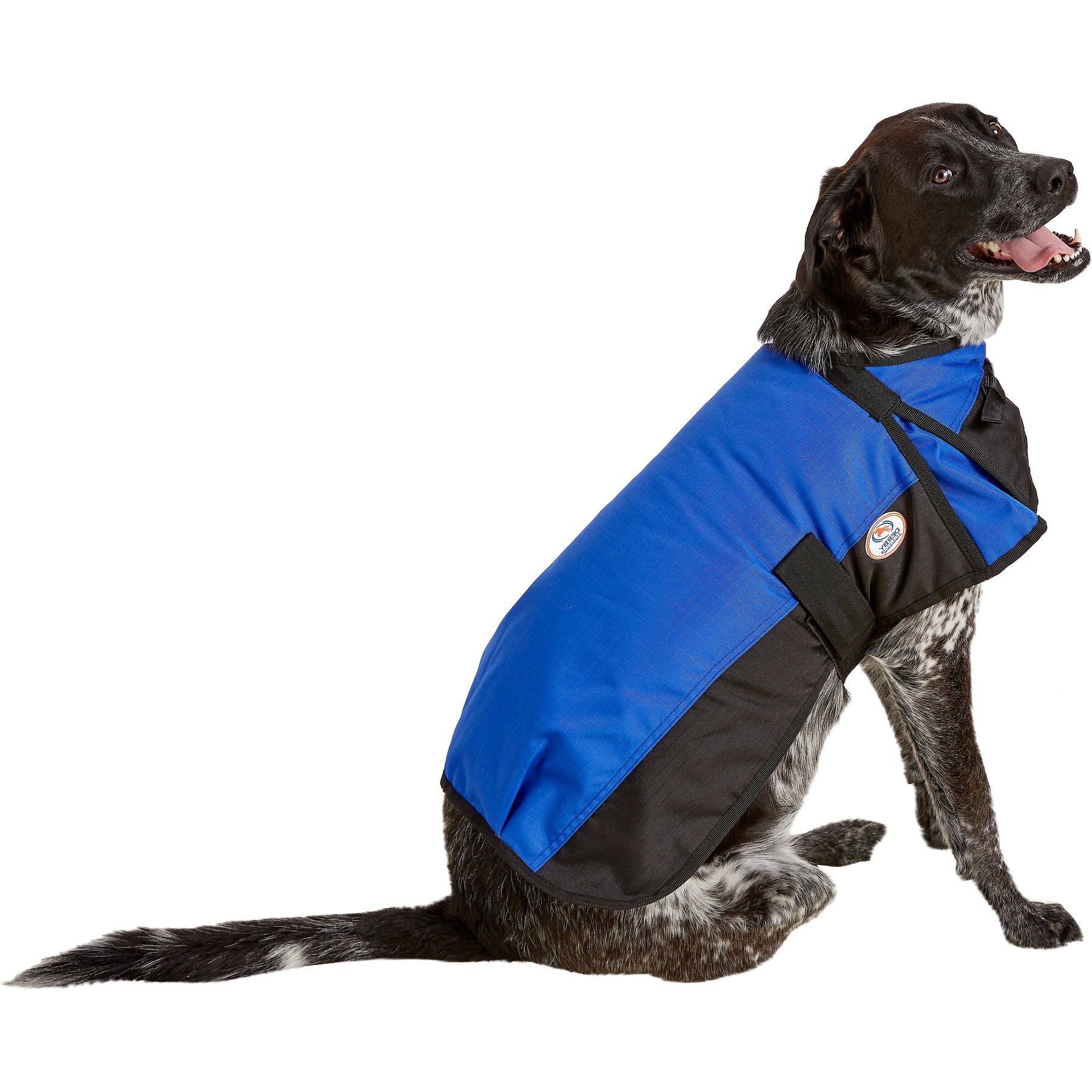 Derby Originals 600D Waterproof Dog Blanket Coat