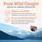Show in main carousel: Dr. Joseph's VetPro Complete Pure Wild Alaskan Salmon Oil Skin & Coat Supplement Food Topper for Dogs, 16-fl oz bottle slide 5 of 8
