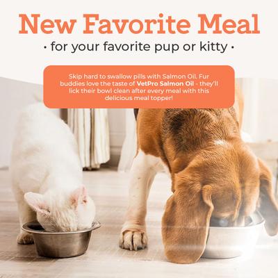 Show full view: Dr. Joseph's VetPro Complete Pure Wild Alaskan Salmon Oil Skin & Coat Supplement Food Topper for Dogs, 16-fl oz bottle slide 6 of 8